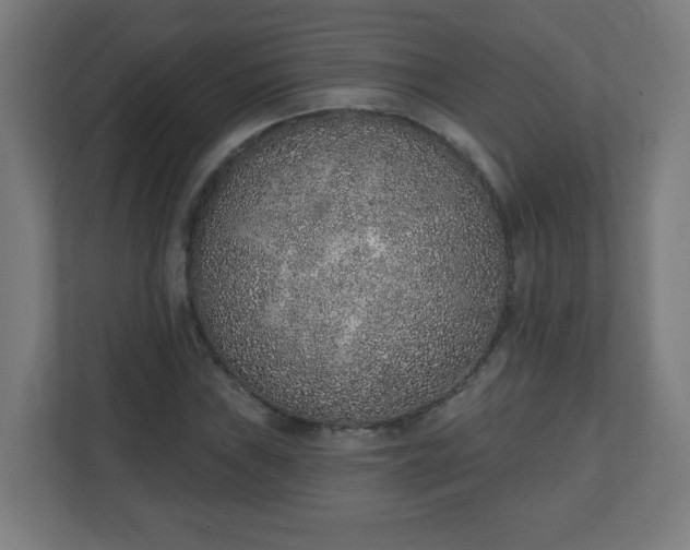 X0000111131019200907071013