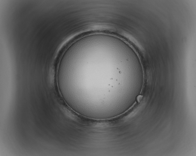 X0000111131021200907071013