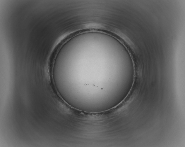 X0000111131022200907071013