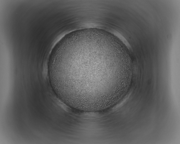 X0000111131023200907071013