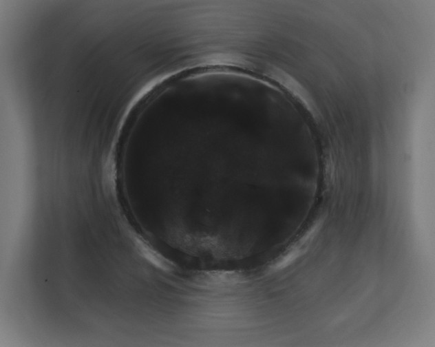 X0000111131024200907071013