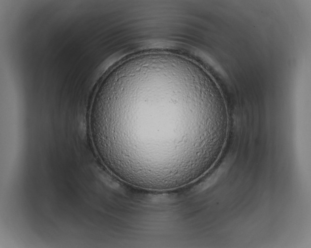 X0000111131025200907071013