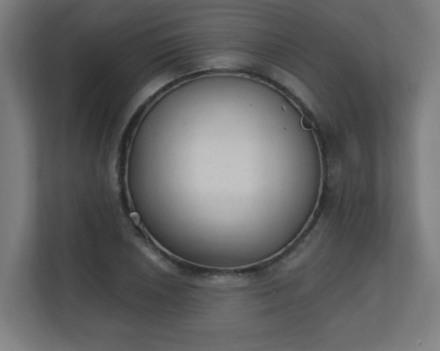 X0000111131026200907071013