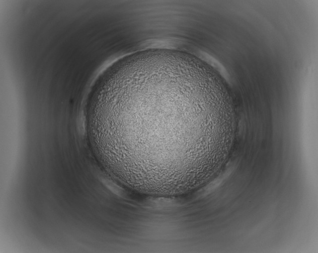 X0000111131027200907071013