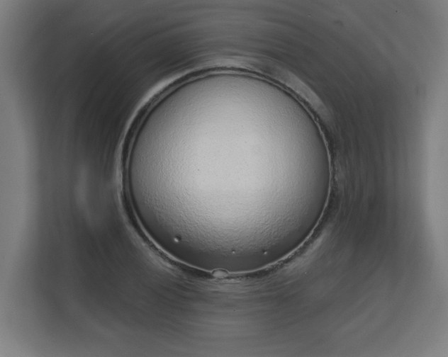 X0000111131028200907071013