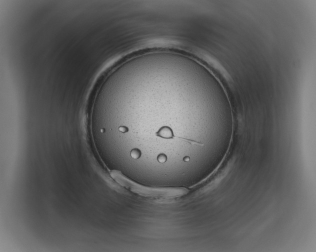 X0000111131029200907071013