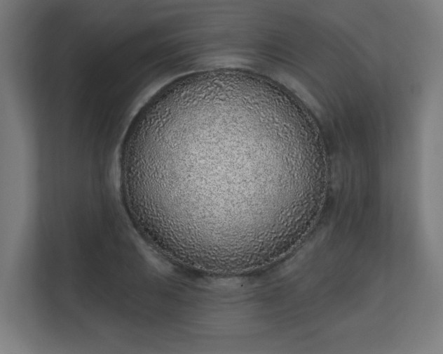 X0000111131031200907071013