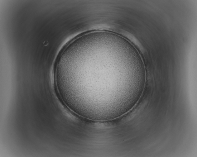 X0000111131032200907071013