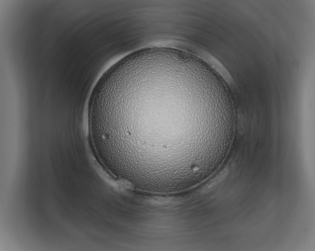 X0000111131036200907071013