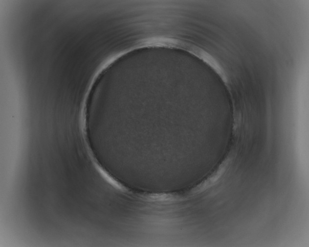 X0000111131037200907071013