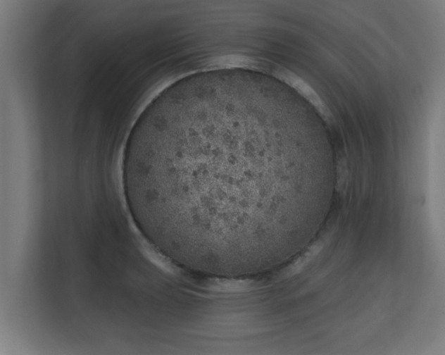 X0000111131039200907071013