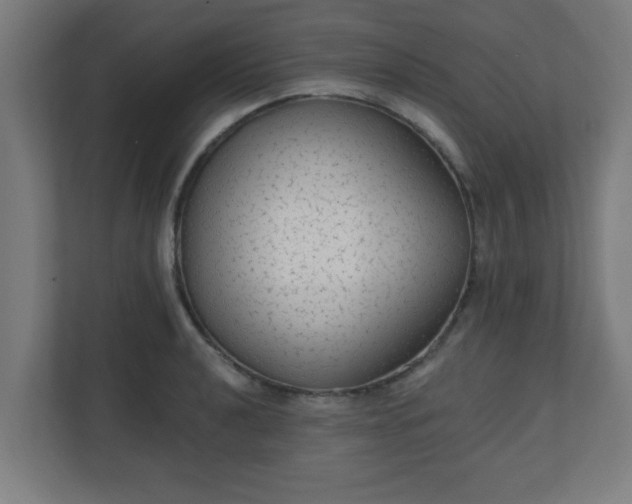 X0000111131040200907071013