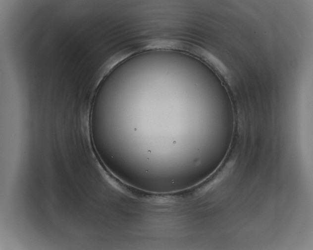 X0000111131041200907071014