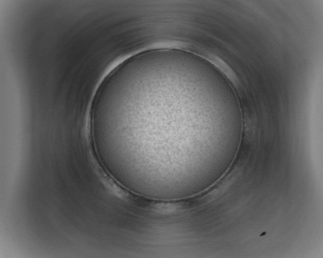 X0000111131044200907071014