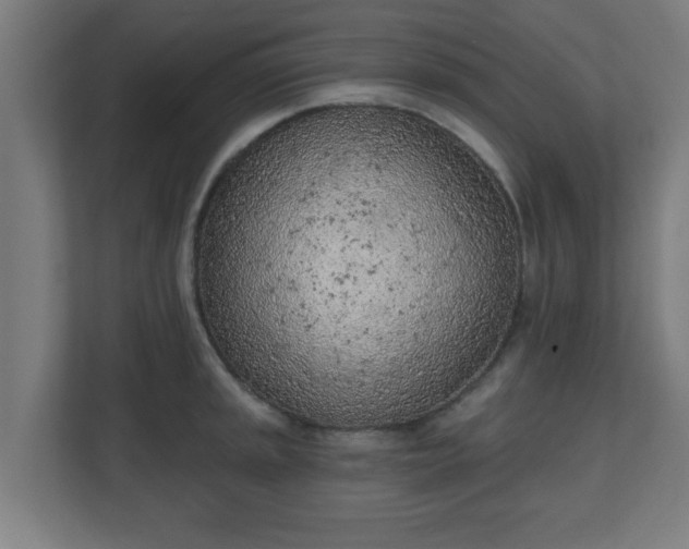 X0000111131045200907071014