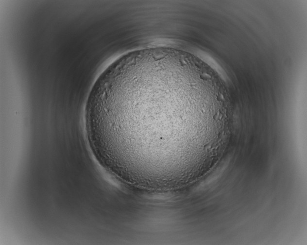 X0000111131047200907071014