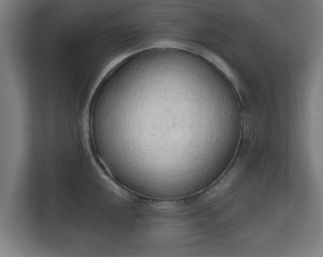 X0000111131048200907071014