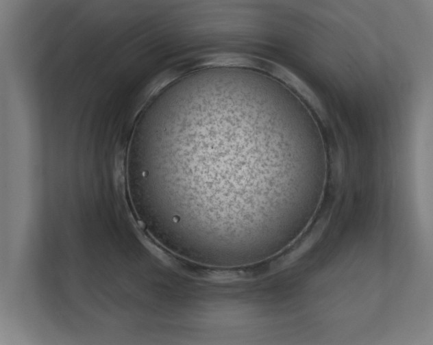 X0000111131049200907071014