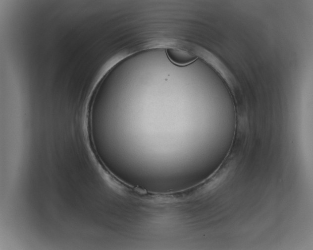 X0000111131050200907071014