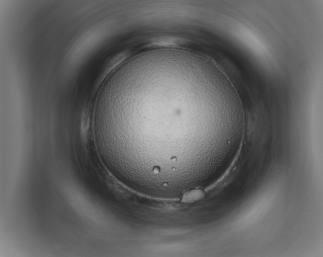 X0000111131052200907071014