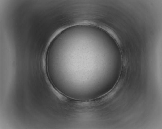 X0000111131054200907071014