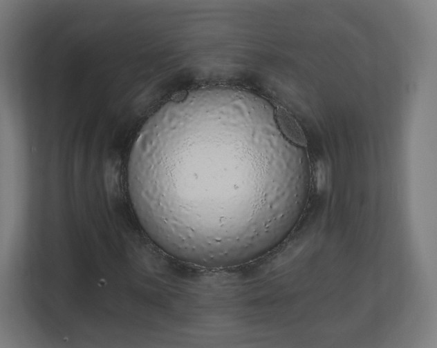 X0000111131059200907071013