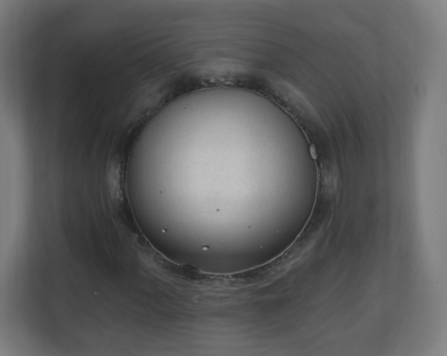 X0000111131060200907071013