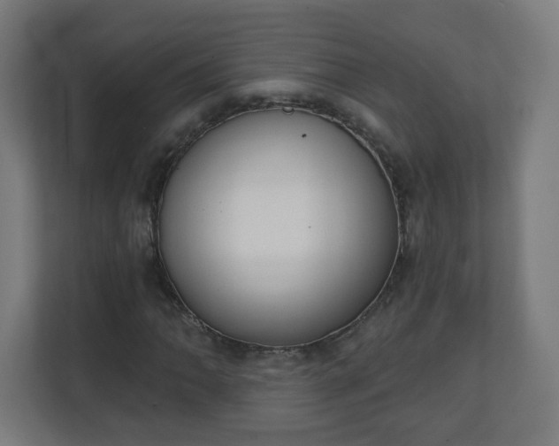 X0000111131062200907071013