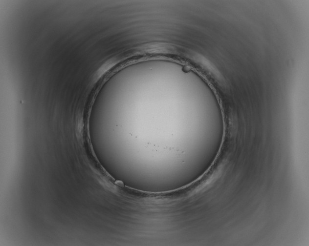 X0000111131065200907071013