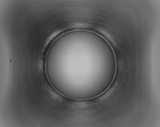 X0000111131066200907071013