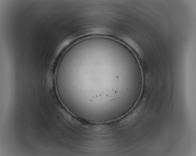 X0000111131067200907071013