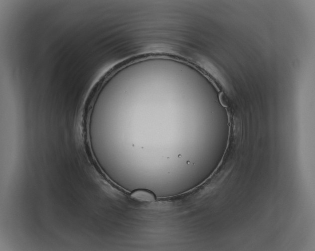 X0000111131068200907071013