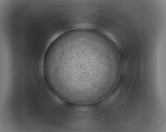 X0000111131071200907071013