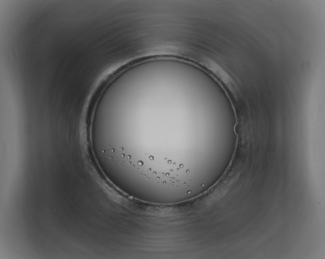 X0000111131072200907071013