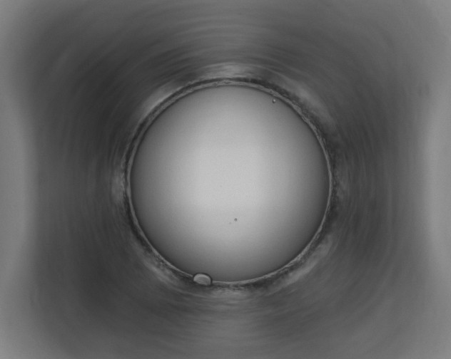 X0000111131073200907071013
