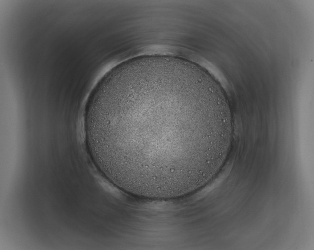 X0000111131075200907071013