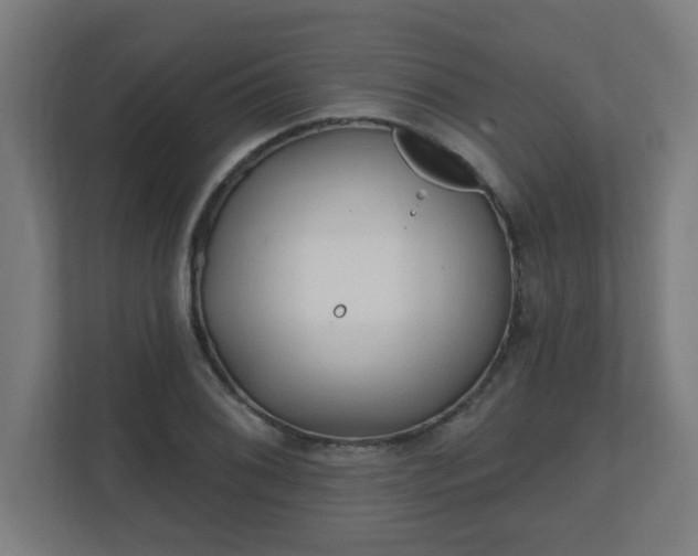 X0000111131076200907071013