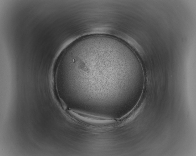 X0000111131077200907071013