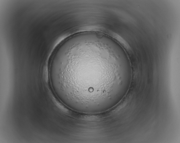 X0000111131079200907071013