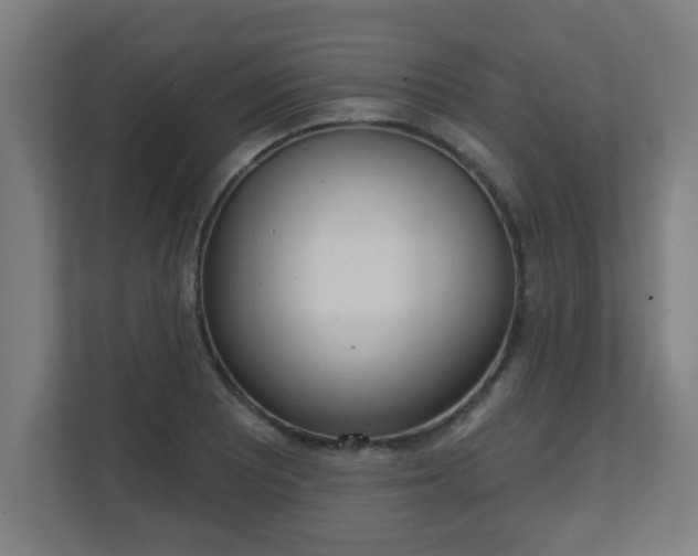 X0000111131081200907071013