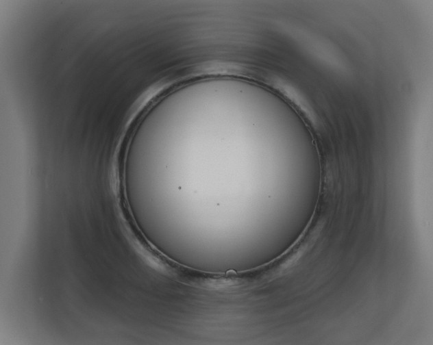 X0000111131082200907071013