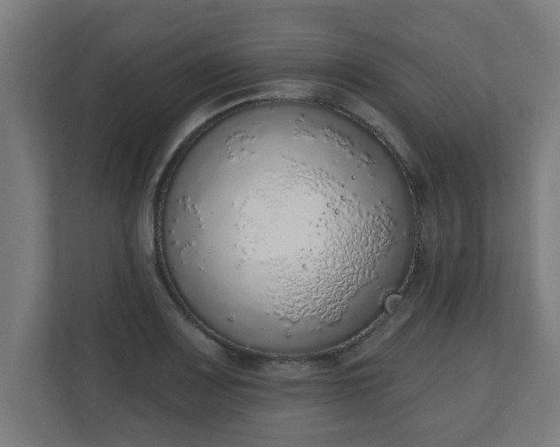 X0000111131083200907071013