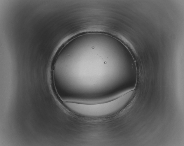 X0000111131085200907071013
