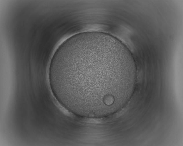 X0000111131086200907071013