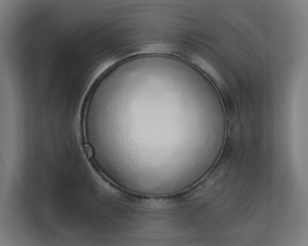 X0000111131087200907071013