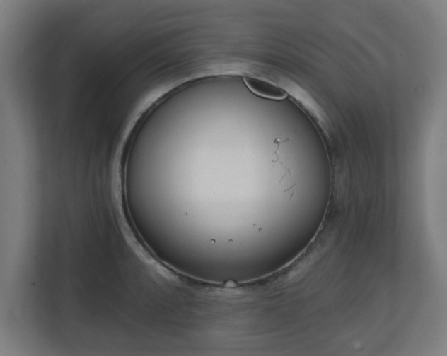 X0000111131088200907071013