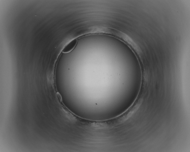 X0000111131089200907071013