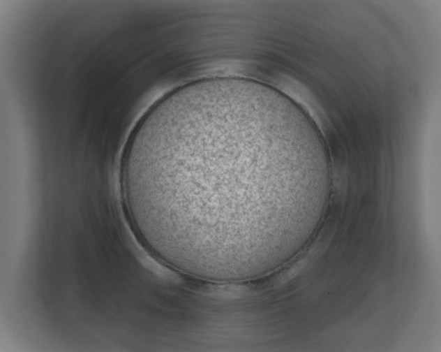 X0000111131090200907071013