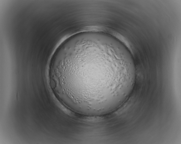 X0000111131091200907071013