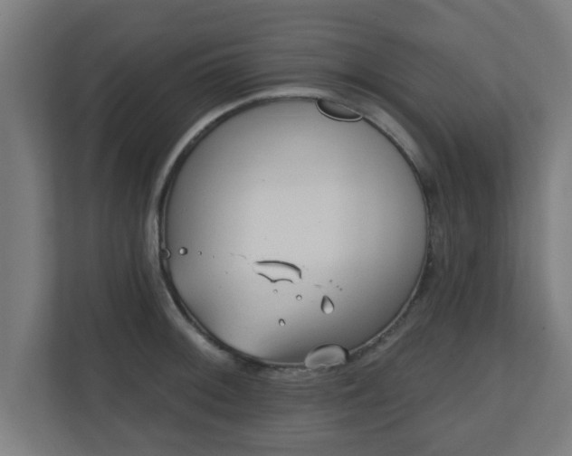 X0000111131092200907071013